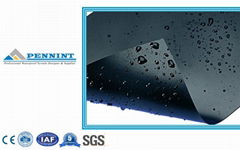 High quality HDPE Geo-membrane