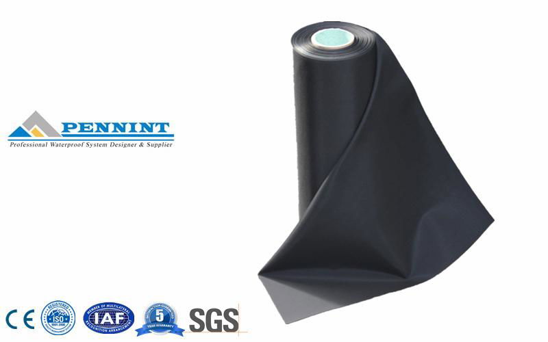 High quality HDPE Geo-membrane 3