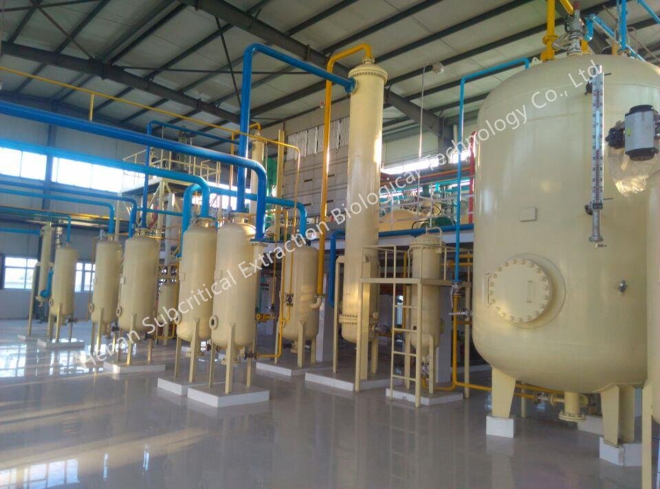 Main Wheat Germ Oil Extraction Process