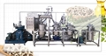 Moringa Oill Extraction Machine 1