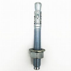 Wedge Anchor Bolts M6-M24   Expansion Bolt