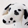 Lifelike Stuffed Animals Plush Toys 101 Dalmatian Dogs Models Wholesale 5