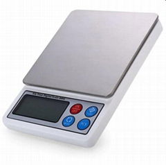 Digital Portable Scale