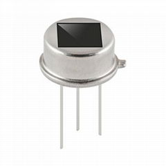 Dual Elements Passive Infrared Sensor Used for Alarm System D203B