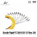 Bundle Pigtail SC MM