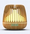 Fragrance Lamp 3
