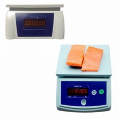 waterproof scale