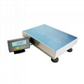 1g Precision Weighing Platform Scale 1