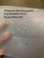 New Maryland laminate sheet MD ovi sheet hologram