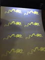 New Illinois state hologram sticker IL UV 1