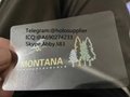 Montana ID hologram MT state overlay