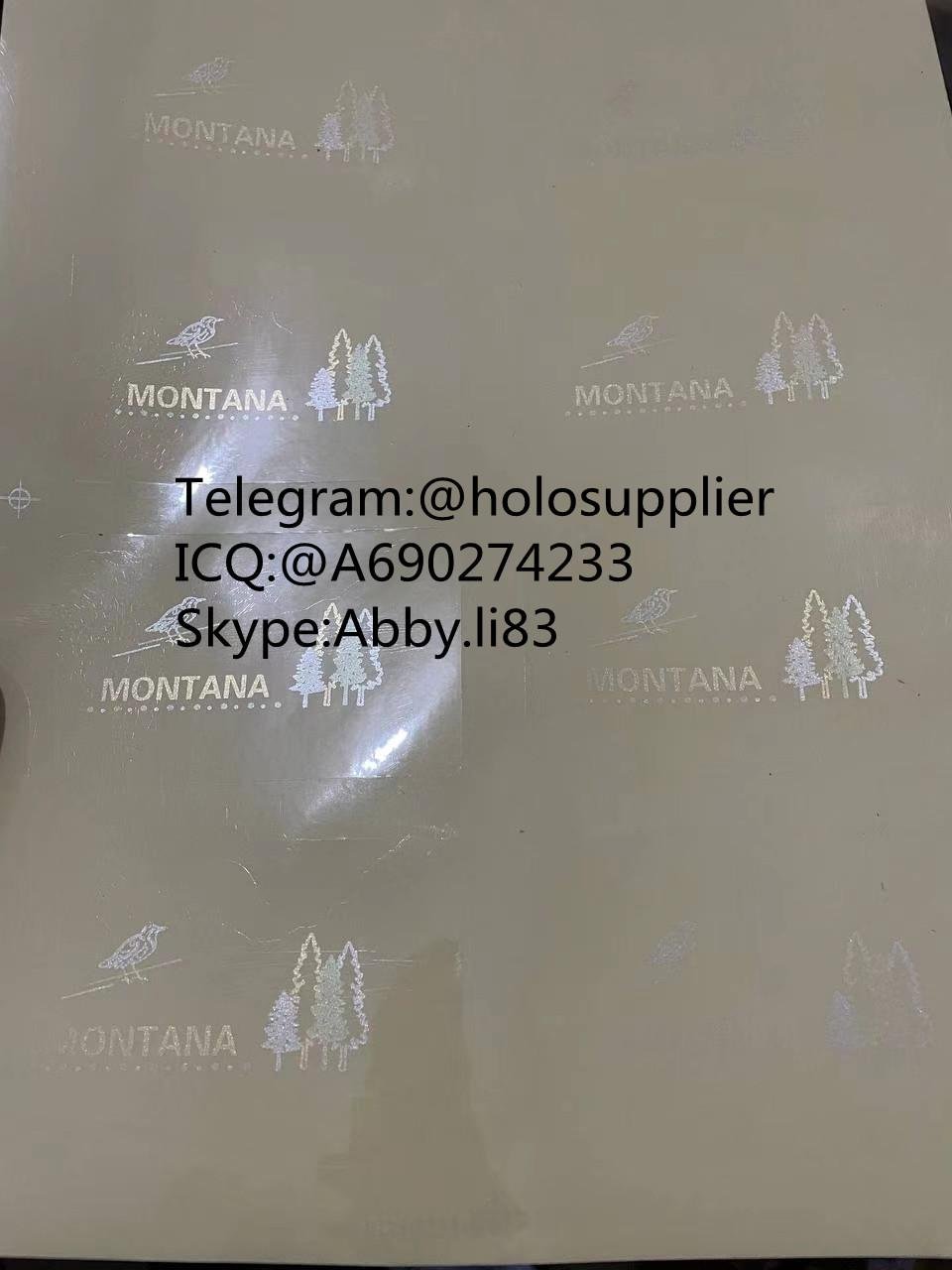 Montana  hologram MT state overlay 3