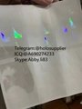 NEW idaho id overlay  ID state hologram