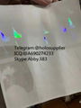 NEW idaho  overlay  state hologram