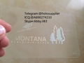 Montana  hologram MT state overlay 4