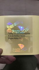 NEW South Carolina overlay NEW SC state hologram   