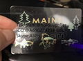 NEW Maine overlay ME state hologram