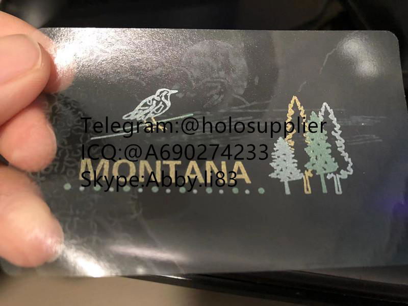 Montana  hologram MT state overlay