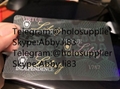PA hologram Pennsylvania state overlay