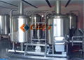 300 L mash system equipment