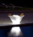 lighted up led champagne cooler