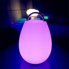 LED Portable Table Lamp