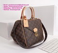 LV monogram handbags LV bags Louis vuitton bags BUMBAG SPEEDY BANDOULIÈRE 30 ONT