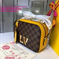 LV handbags LV purse LV wallet LV Camera bag Santa Monica handbags MINI LUGGAGE