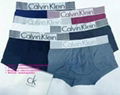 wholesale tommy boxer tommy underwear tommy underpant tommy knickers tommy brief