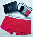 wholesale tommy boxer tommy underwear tommy underpant tommy knickers tommy brief