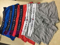 wholesale tommy boxer tommy underwear tommy underpant tommy knickers tommy brief