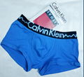 wholesale ck boxer CALVIN KLEIN boxer ck underwear ck underpant ck brief bikini