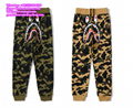 BAPE tshirts APE jeacket bape pants bape shorts bathing bape hoodies AAPE shirts 6