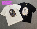 BAPE tshirts APE jeacket bape pants bape shorts bathing bape hoodies AAPE shirts 11