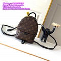 Louis Vuitton PALM SPRINGS BACKPACK LV mini backpack LV Handbags LV Purse NEONOE