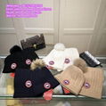 wholesale hat wool Beanie with pom pom winter hat knitted hats caps Warm hat 8