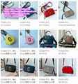             handbags             purse Snapshot Crossbody Camera Bags Wholesaler 14