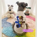 dog tshirt pet clothes dog shirts cat tshirt pet tshirt Pet Sweater Dog Raincoat 5