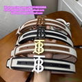 Check and Leather TB Belt Leather Reversible TB Belt Canvas Leather belts straps