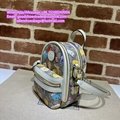       backpack       shoulders bag       schoolbag       traveling bag GG purse 14