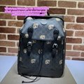      backpack       shoulders bag       schoolbag       traveling bag GG purse 18