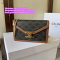 Celine bag triomphe canvas calfskin Celine handbag vertical cabas Celine totes