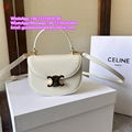 Celine bag triomphe canvas calfskin Celine handbag vertical cabas Celine totes