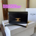 Celine bag triomphe canvas calfskin Celine handbag vertical cabas Celine totes