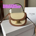 Celine bag triomphe canvas calfskin Celine handbag vertical cabas Celine totes