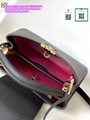     apucines mini bag capucine bb handbags     urse     ote     ackpacks     hou 11
