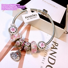 Wholesaler Pandora Chain Bracelets Pandora Bangles Pandora earrings Jewelry Pand