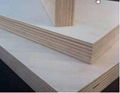 18MM 100% FULL BIRCH PLYWOOD 2