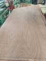 BS1088 Marine plywood  4