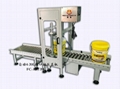 Automatic Plastic Pail Lids Pressing